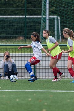 Bild 100 - C-Juniorinnen HSV - Walddoerfer : Ergebnis: 9:1